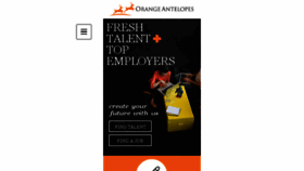 What Orangeantelopes.com website looked like in 2016 (7 years ago)