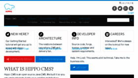 What Onehippo.org website looked like in 2017 (8 years ago)