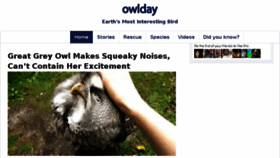 What Owlday.com website looked like in 2017 (7 years ago)