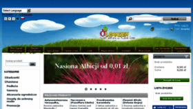 What Oleander.pl website looked like in 2017 (7 years ago)
