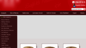 What Ozkaleligida.com website looked like in 2017 (9 years ago)