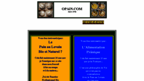 What Opain.com website looked like in 2017 (6 years ago)