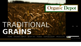 What Organicdepot.in website looked like in 2017 (6 years ago)