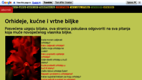 What Orhideje.net website looked like in 2017 (6 years ago)