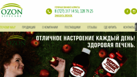 What Ozon.kz website looked like in 2017 (6 years ago)