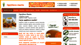 What Ognjicevo-mazilo.si website looked like in 2017 (6 years ago)