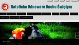 What Odnowa.org website looked like in 2017 (6 years ago)