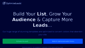 What Optimizeleads.com website looked like in 2017 (6 years ago)