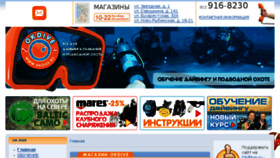 What Okdive.ru website looked like in 2017 (8 years ago)