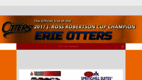 What Ottershockey.com website looked like in 2017 (6 years ago)