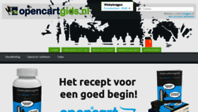 What Opencartgids.nl website looked like in 2017 (6 years ago)