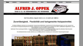 What Oppek-verpackungen.com website looked like in 2017 (6 years ago)