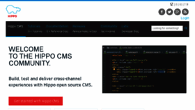 What Onehippo.org website looked like in 2018 (7 years ago)