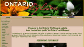 What Ontariowildflowers.com website looked like in 2018 (6 years ago)