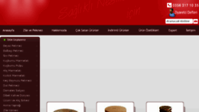 What Ozkaleligida.com website looked like in 2018 (8 years ago)