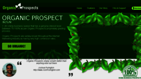 What Organicprospects.com website looked like in 2018 (5 years ago)