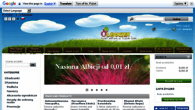 What Oleander.pl website looked like in 2018 (5 years ago)