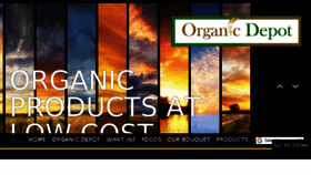 What Organicdepot.in website looked like in 2018 (5 years ago)