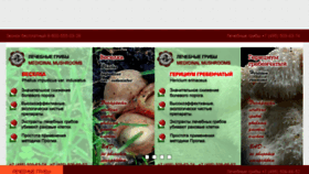 What Onkogrib.ru website looked like in 2018 (7 years ago)