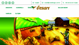 What Ozsaribulgur.com website looked like in 2018 (5 years ago)