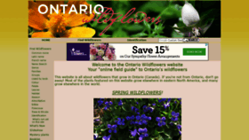 What Ontariowildflowers.com website looked like in 2019 (5 years ago)