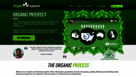 What Organicprospects.com website looked like in 2019 (5 years ago)