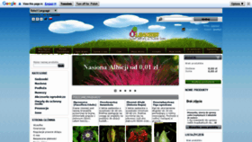 What Oleander.pl website looked like in 2019 (4 years ago)