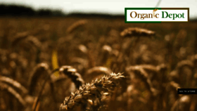 What Organicdepot.in website looked like in 2019 (4 years ago)