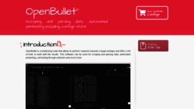 What Openbullet.store website looked like in 2019 (4 years ago)