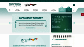 What Ortograffiti.pl website looked like in 2019 (4 years ago)