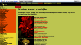 What Orhideje.net website looked like in 2019 (4 years ago)