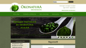 What Okonatura.hu website looked like in 2019 (4 years ago)