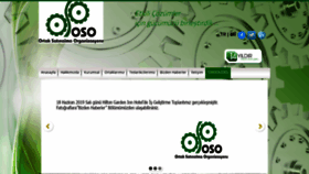What Osoline.com website looked like in 2019 (4 years ago)