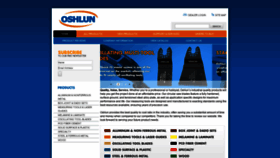 What Oshlun.com website looked like in 2019 (4 years ago)