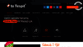 What Ototespit.com website looked like in 2019 (4 years ago)