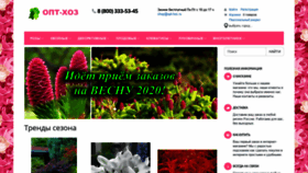 What Opt-hoz.ru website looked like in 2019 (4 years ago)