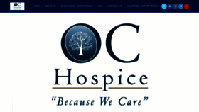 What Ochospice.com website looked like in 2019 (4 years ago)