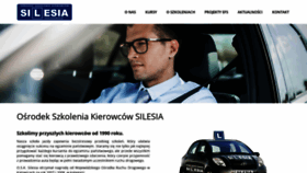 What Osksilesia.pl website looked like in 2019 (4 years ago)