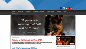 What Oromoctospca.com website looked like in 2020 (4 years ago)