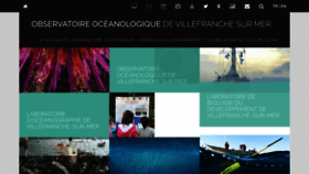 What Obs-vlfr.fr website looked like in 2020 (5 years ago)