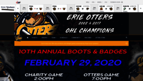 What Ottershockey.com website looked like in 2020 (4 years ago)