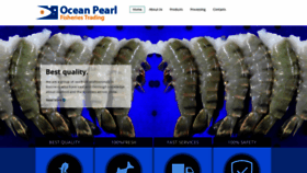 What Oceanpearl.in website looked like in 2020 (4 years ago)