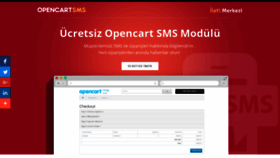 What Opencartsms.com website looked like in 2020 (4 years ago)