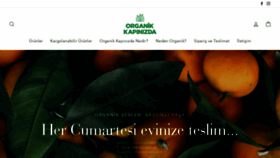 What Organikkapinizda.com website looked like in 2020 (4 years ago)