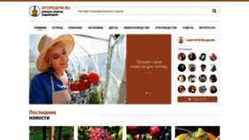 What Ogorodum.ru website looked like in 2020 (4 years ago)