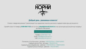 What Oookorni.ru website looked like in 2020 (4 years ago)