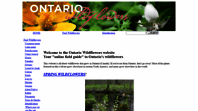 What Ontariowildflowers.com website looked like in 2020 (4 years ago)