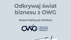 What Owg.pl website looked like in 2020 (3 years ago)