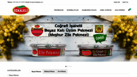 What Ozkaleligida.com website looked like in 2020 (5 years ago)