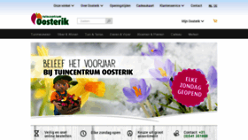 What Oosterik.nl website looked like in 2020 (3 years ago)